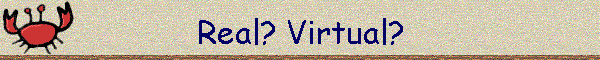 Real? Virtual?