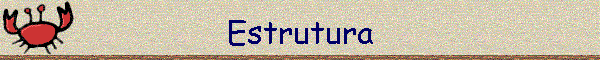 Estrutura