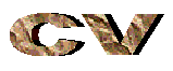 CV