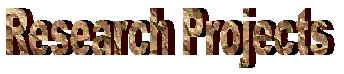 Research Projects