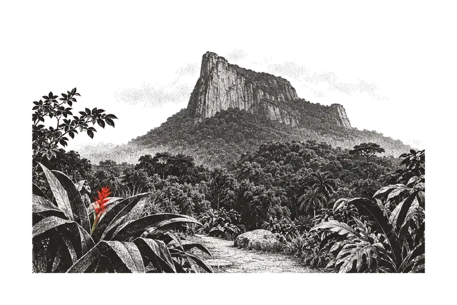 Um penedo de granito sobre a mata atlântica, no espírito da Pedra da Gávea; uma flor de helicônia vermelha em primeiro plano.