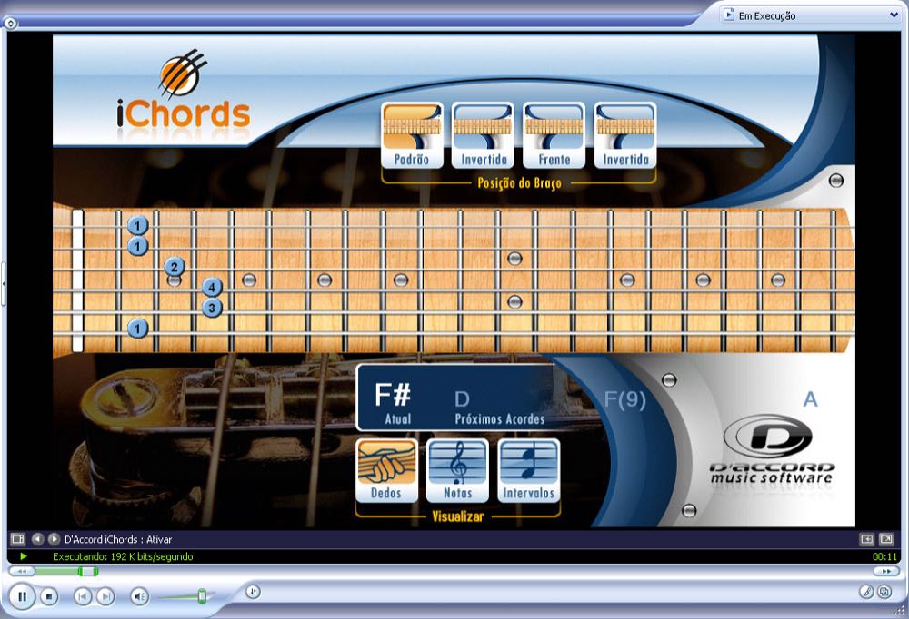iChords for computer screen: guitar neck with the chord being played and the next chord (screenshot from the D'Accord website)