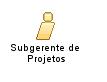 Subgerente_de_Projetos