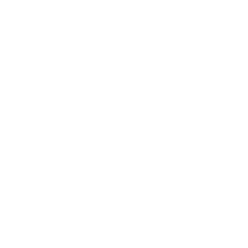 Ícone Motorista
