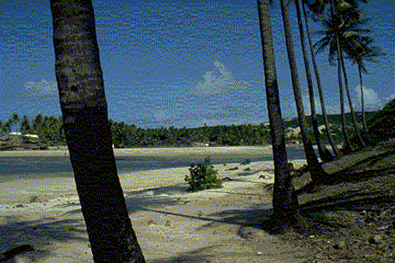 White sand...
